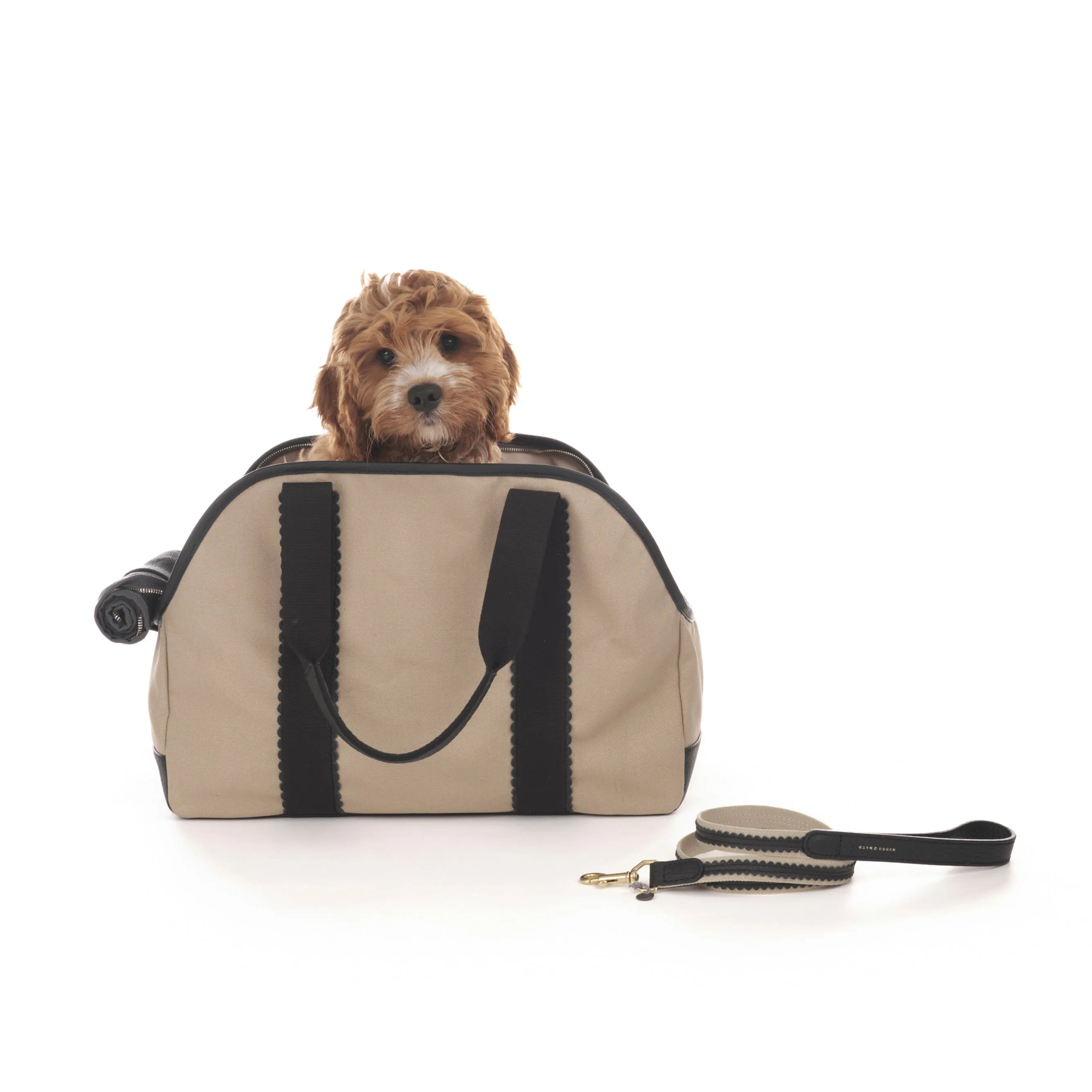 Bonbon Dog Bag