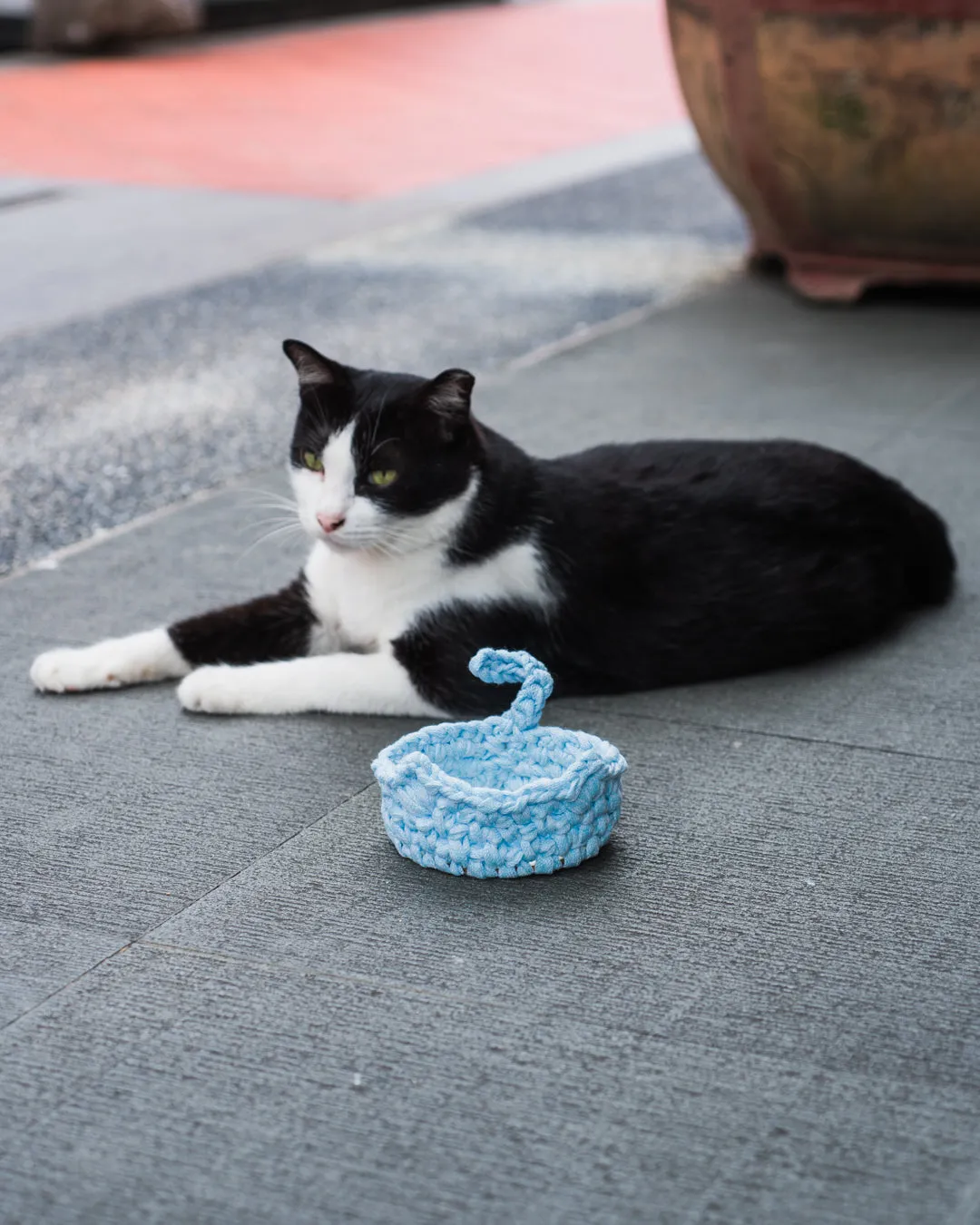 Taster: Meow Meow Trinket Dish Workshop (KID FRIENDLY)